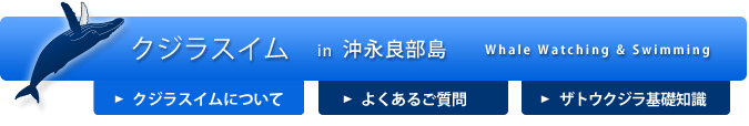 クジラスイム