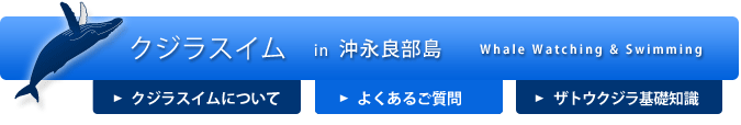 クジラスイム