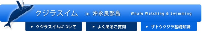 クジラスイム