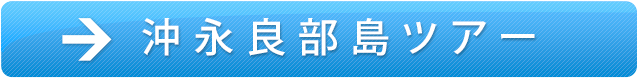 沖永良部島ツアー