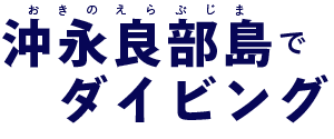 沖永良部島でダイビング