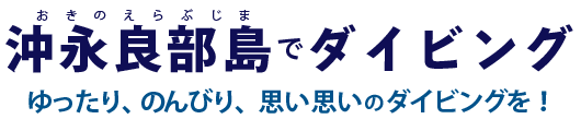 沖永良部島でダイビング