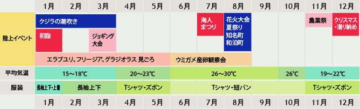 沖永良部島 陸上イベント