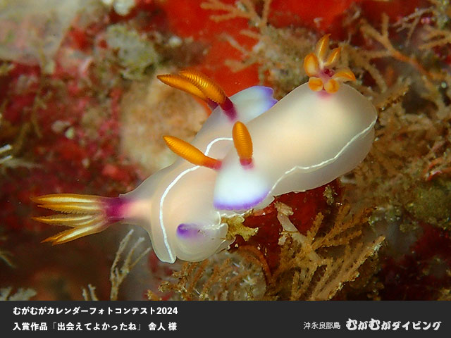 むがむがカレンダーフォトコンテスト入賞