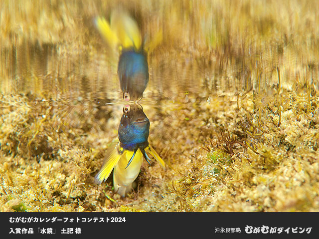 むがむがカレンダーフォトコンテスト入賞