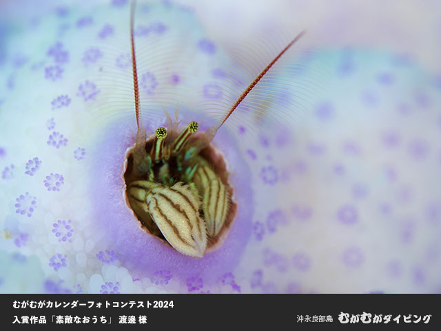むがむがカレンダーフォトコンテスト入賞
