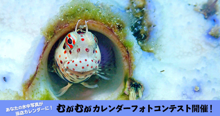 むがむがカレンダーフォトコンテスト