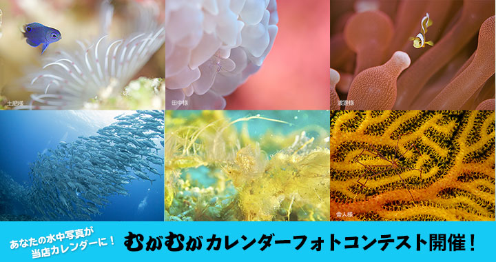 むがむがカレンダーフォトコンテスト開催