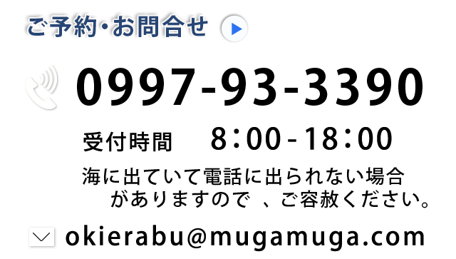 ご予約・お問合せ