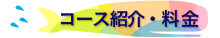 ザトウクジラスイム料金・コース紹介