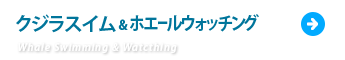 ザトウクジラとクジラスイム・ホエールウォッチング