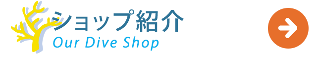 沖永良部島ダイビングショップ紹介