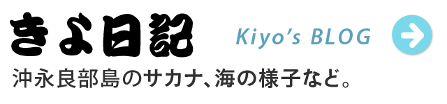 きよ日記ブログ