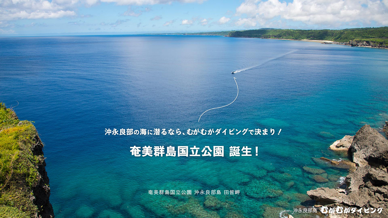 奄美群島国立公園 田皆岬を行くむがむが号