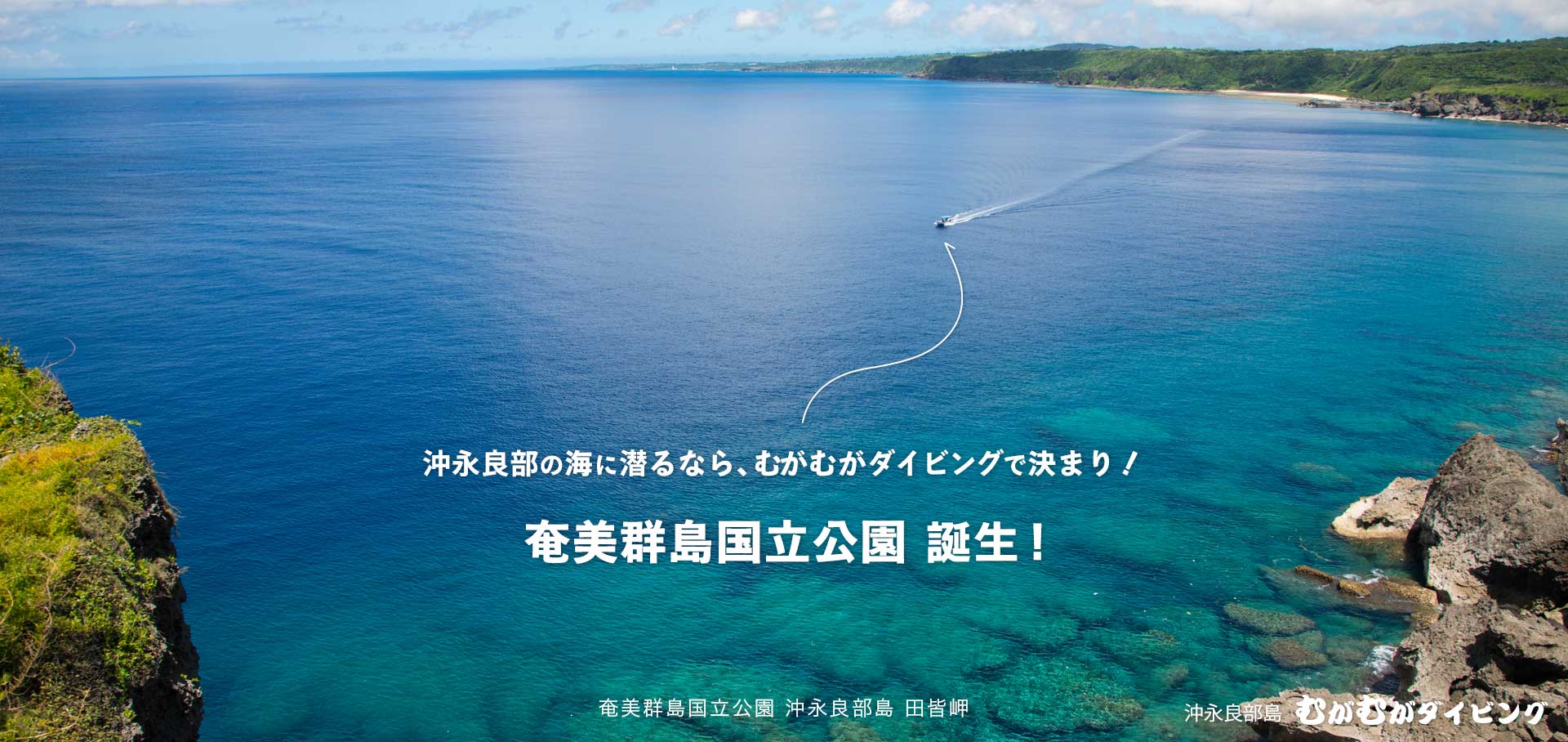 奄美群島国立公園 田皆岬を行くむがむが号