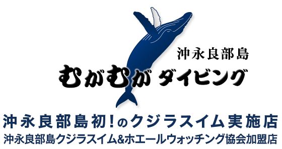 沖永良部島むがむがダイビング