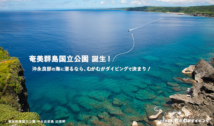 奄美群島国立公園 沖永良部島 田皆岬